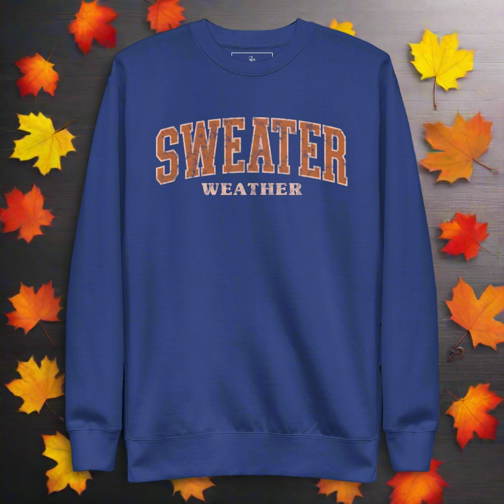 Sweater Weather | Soft-Wash Sweatshirt - Syntax & Alchemy