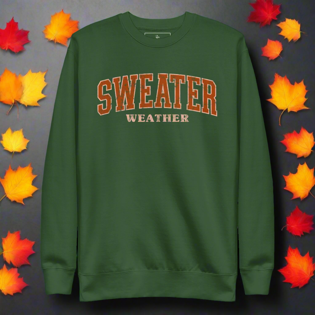 Sweater Weather | Soft-Wash Sweatshirt - Syntax & Alchemy