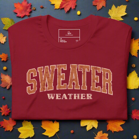 Sweater Weather | Airlume Cotton T-Shirt - Syntax & Alchemy