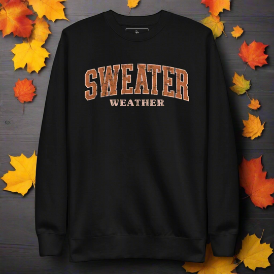 Sweater Weather | Soft-Wash Sweatshirt - Syntax & Alchemy