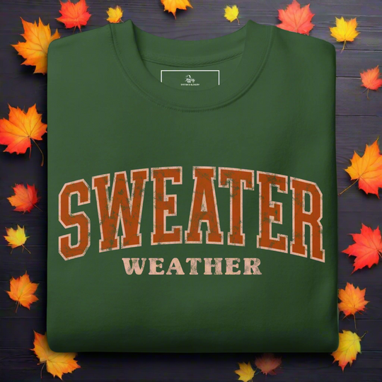 Sweater Weather | Soft-Wash Sweatshirt - Syntax & Alchemy