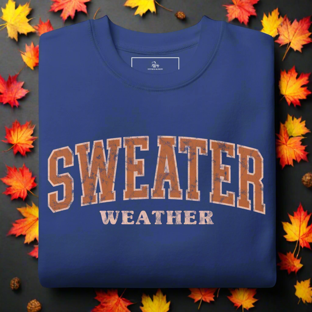 Sweater Weather | Soft-Wash Sweatshirt - Syntax & Alchemy