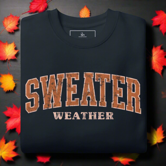 Sweater Weather | Soft-Wash Sweatshirt - Syntax & Alchemy