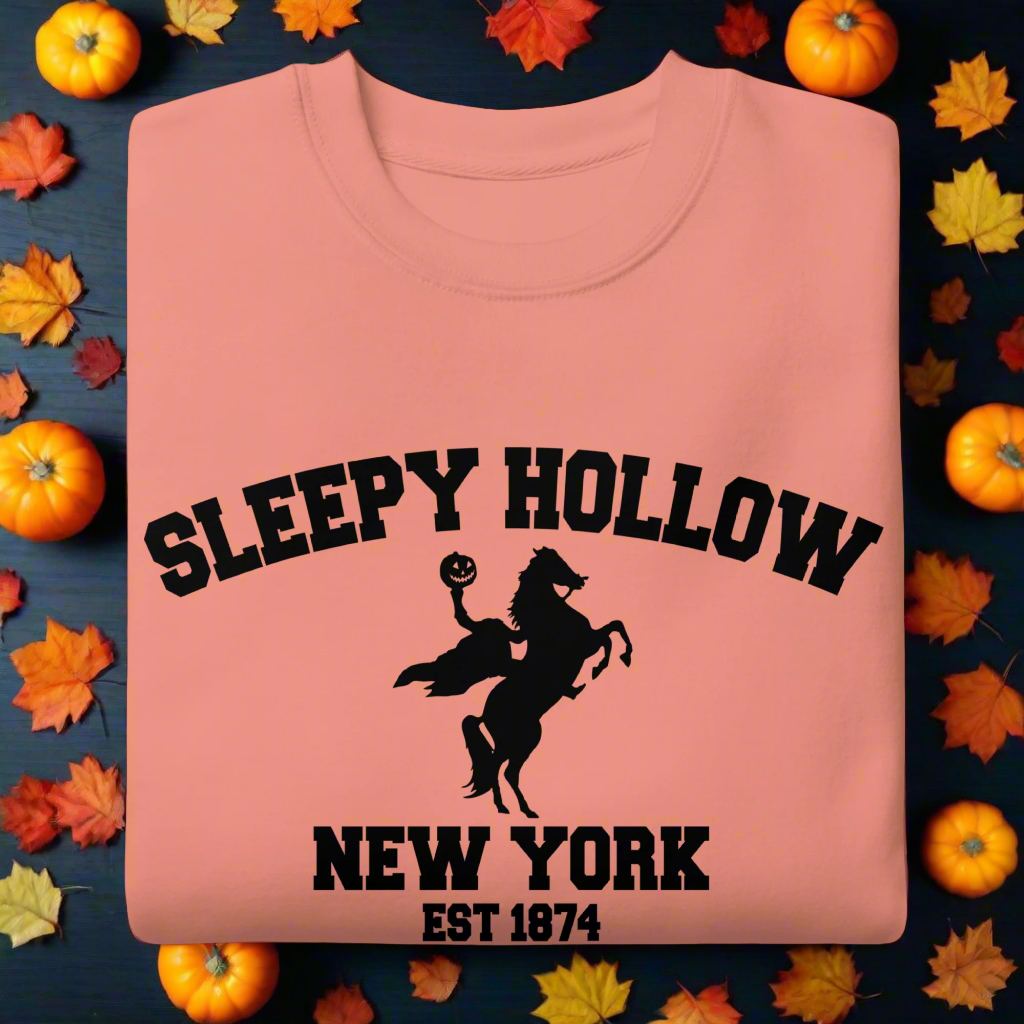 Sleepy Hollow | Soft-Wash Sweatshirt Soft-Wash Sweatshirt Syntax & Alchemy Dusty Rose S 