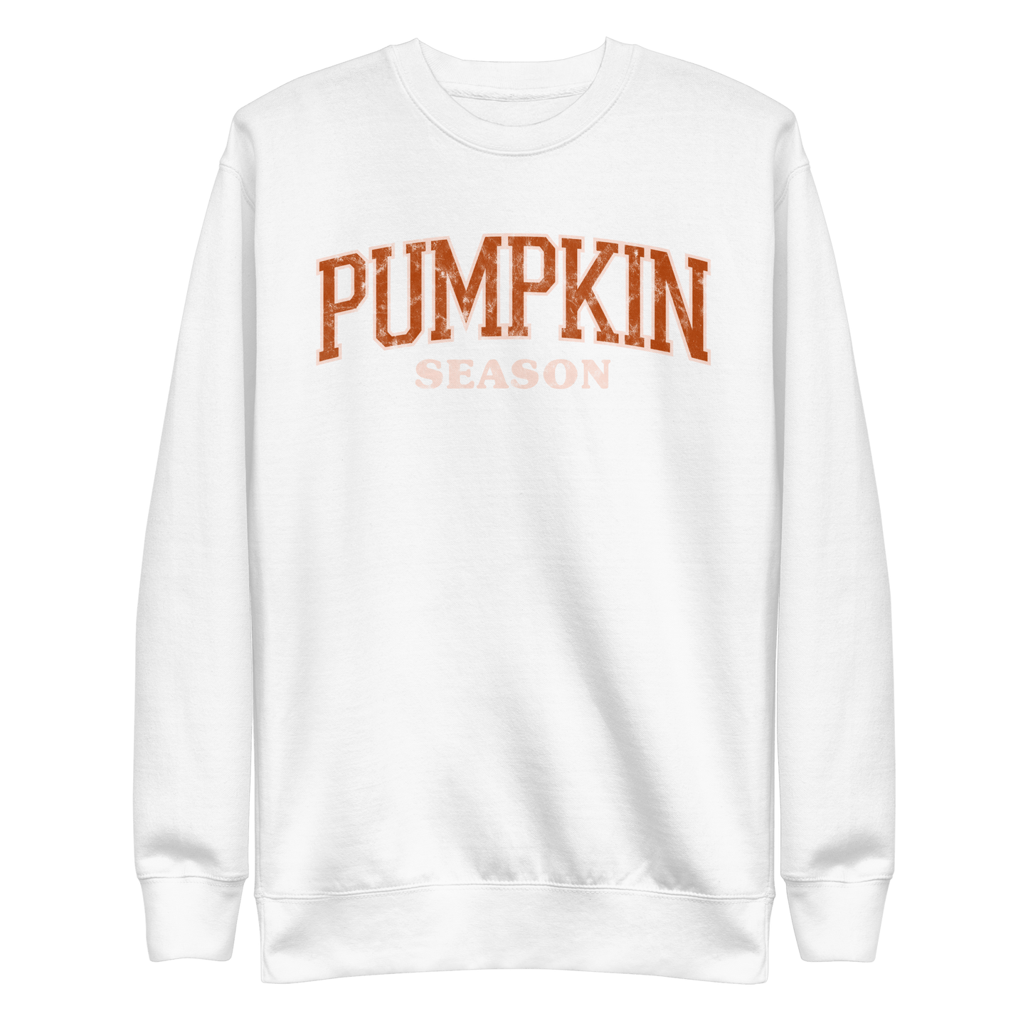 Pumpkin Season | Soft-Wash Sweatshirt Soft-Wash Sweatshirt Syntax & Alchemy White S 